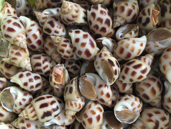  Có lẽ, Nam Thành nên học Hoàng Việt sớm công khai bạn gái để bạn gái khỏi thiệt thòi và buồn