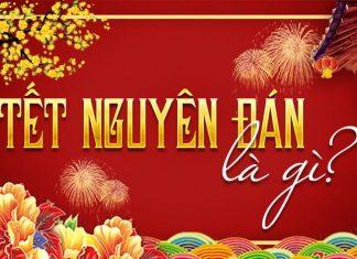 Những chiếc váy nhẹ nhàng, nữ tính giúp người đẹp khoe được đôi chân thon dài, lưng ong đầy mê hoặc và những đường cong gợi cảm.