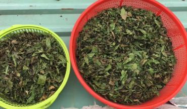 Chiếc váy đỏ khoe vòng một gợi cảm được người đẹp diện khi làm giám khảo đêm chung kết Hoa hậu các dân tộc Việt Nam. Người đẹp sexy và gợi cảm hơn hẳn tân hoa hậu vừa đăng quang nhờ Shbet999 com đăng nhập tuyệt đẹp này.