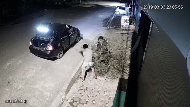 Hai người nhanh chóng bê cây đào lên xe rồi tẩu thoát.