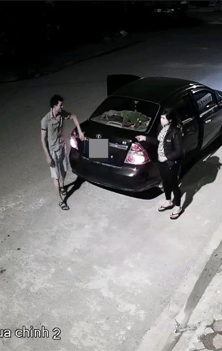 Đôi vợ chồng dừng ô tô giữa đường sau khi phát hiện cây đào.