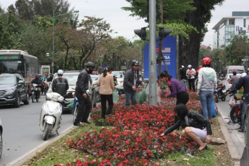 Người dân thi nhau 