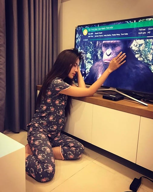 Nhìn qua có thể thấy ngôi nhà của người đẹp được trang trí và bày biện rất gọn gàng, ngăn nắp.    