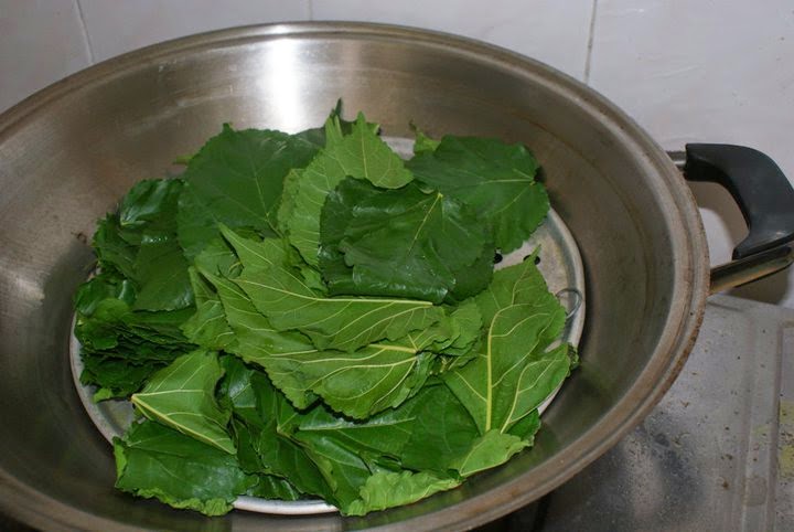 goi-dau-bang-la-oi-1