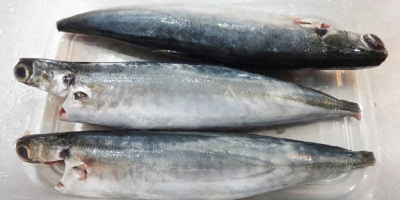 co-nen-cho-be-an-mon-ca-nuc-kho-ca-chua-3_800x400