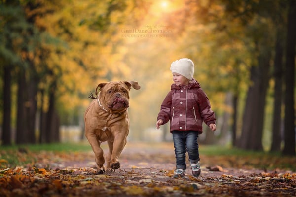 Khi cho trẻ nuôi thú cưng cần phải vô cùng lưu ý