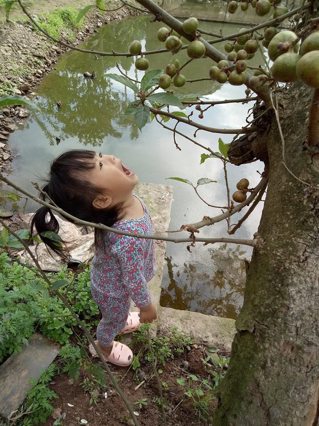 Hình ảnh khiến dân mạng cười chảy nước mắt. (Ảnh: Lưu Thúy Liễu)