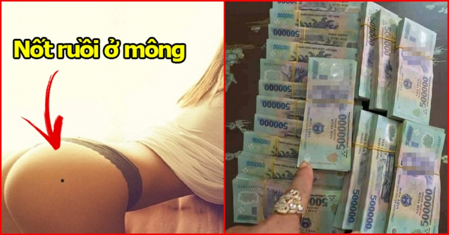 VN_15c862213975b51519c9273t09c24903