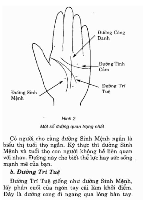 Hình ảnh chi tiết về các đường cơ bản    
