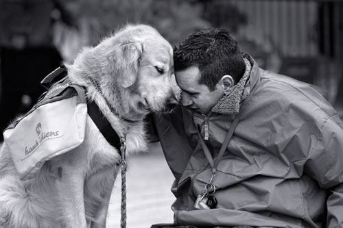 8.dog-love-photos