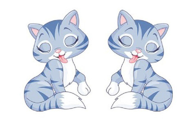 Tuổi Mão sinh con năm hơi vô cùng thuận lợi