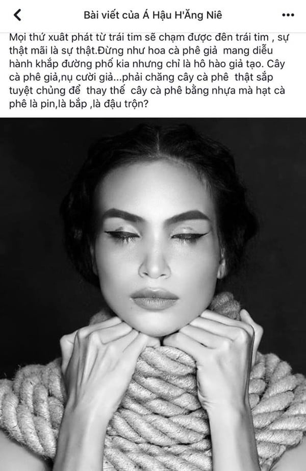 H'Ăng Niê bị cho là đá xéo Hoa hậu H'Hen Niê giả tạo.