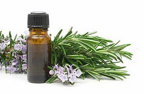 Dầu tràm có nhiều công dụng tốt với sức khỏe của trẻ