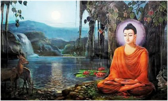 hanh-phuc-va-phuoc-duc-cua-thien-quan