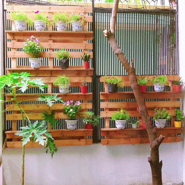 Vườn hoa với đủ màu sắc được thiết kế tiện ích