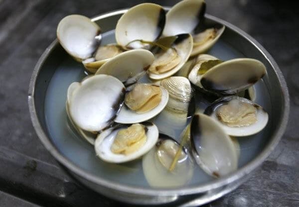 ngao2