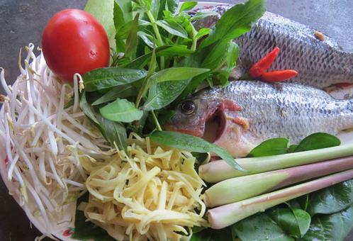 tri tieu duong thieu mau met moi bang canh ca rophi
