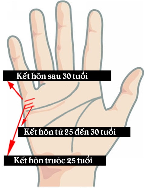 VN_15b7a4ee097f327519d05594t08b675d0