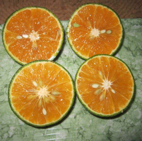 cam-Viet-Nam-e1487179568331