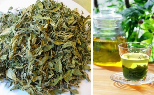 Chè vằng giúp kích thích tuyến sữa khiến mẹ tha hồ cho con bú