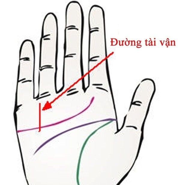 duong-tai-van-20171223214742