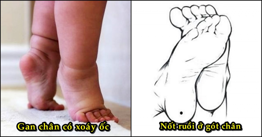 VN_15c40553b9775a2f19d07586t097c7c2b