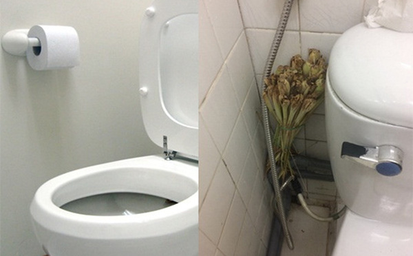 Để một bó sả trong nhà vệ sinh sẽ có nhiều tác dụng kỳ diệu