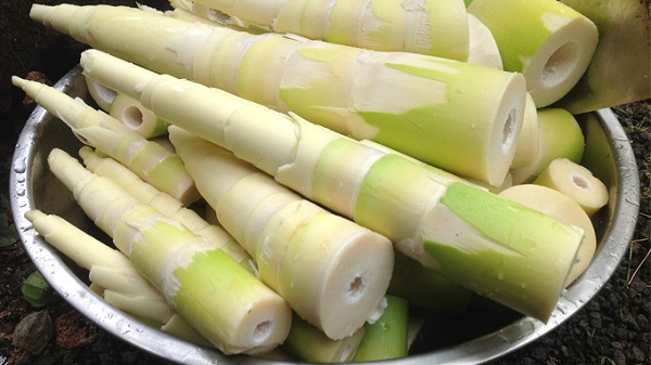 Măng gây mất máu mẹ bầu không nên ăn 