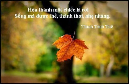 phat-1651