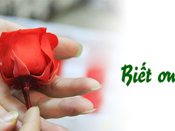nghi-luan-ve-long-biet-on