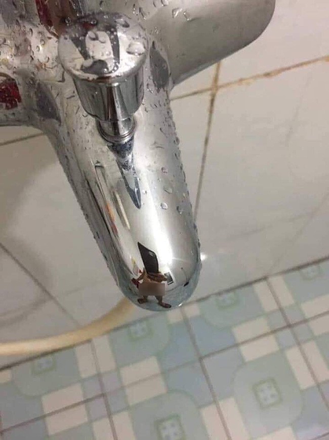 Bức ảnh khiến cô vợ bàng hoàng.
