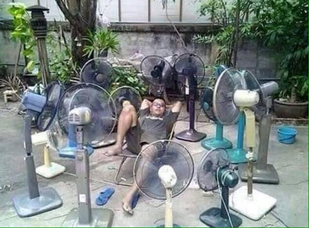 Nhà có điều kiện nên quạt được xếp tứ phía.