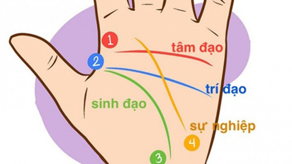 duong-chi-tay