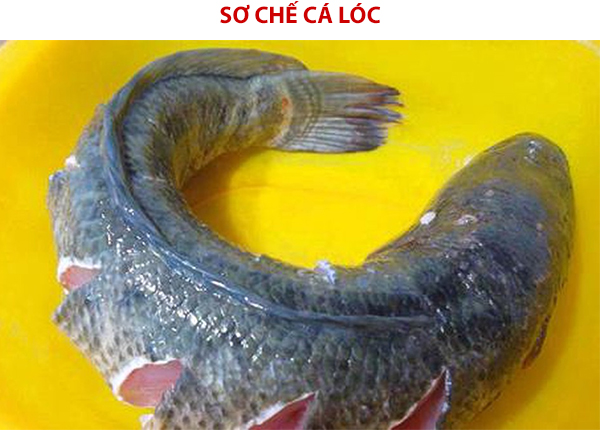 cach-lam-ca-loc-nuong-muoi-ot