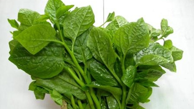 Rau mồng tới giúp trị táo bón