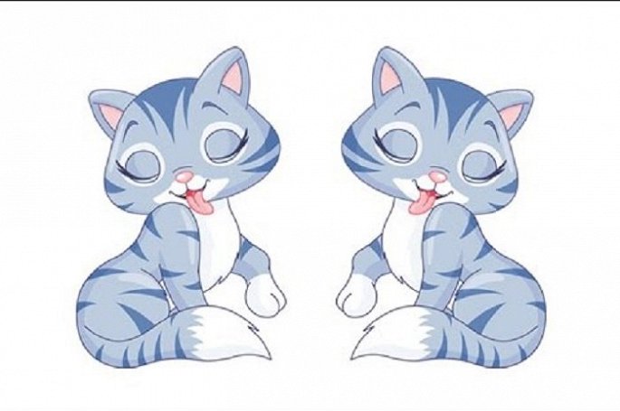 Tuổi Mão đề phòng những kẻ ghen ghét đố kỵ hãm hại