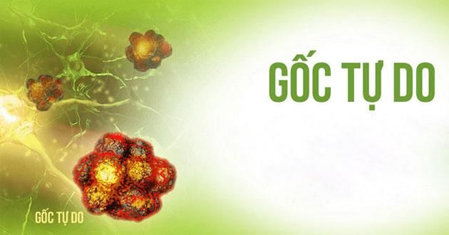 goc-tu-do-la-gi-vi-sao-chung-ta-can-chong-lai-su-phat-trien-cua-goc-tu-do-630