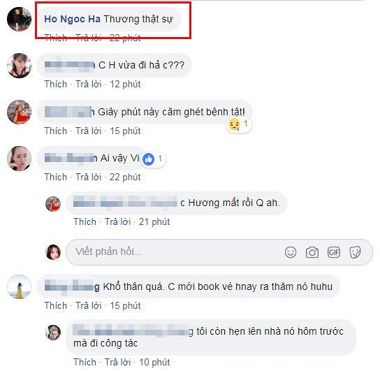 Hồ Ngọc Hà cũng bình luận: 