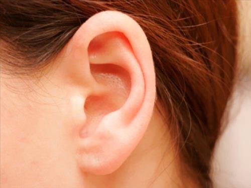Tai cao có tài lãnh đạo