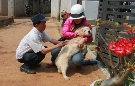 Cán bộ đang tiêm thuốc phòng dại cho chó. Ảnh: VOV
