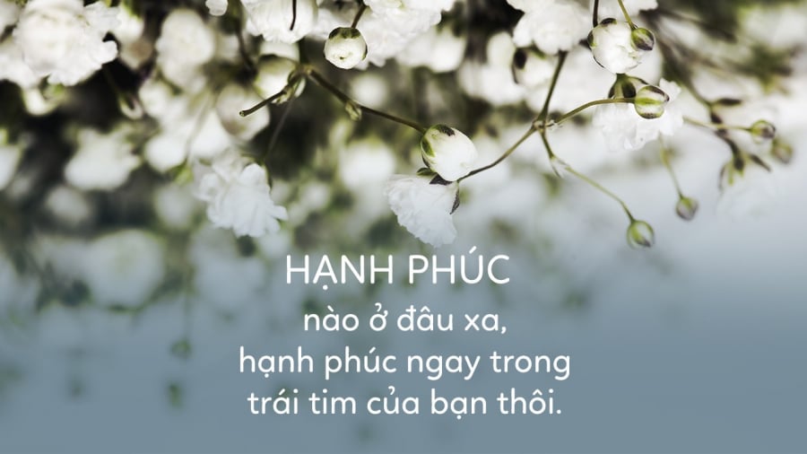 quoc-ta-hanh-phuc