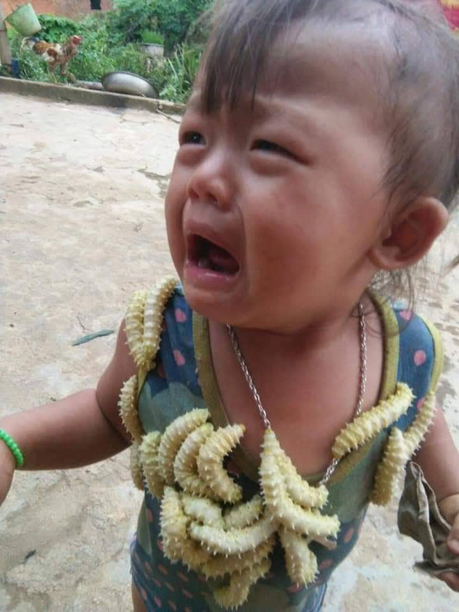 Hình ảnh khiến nhiều người thương cảm.