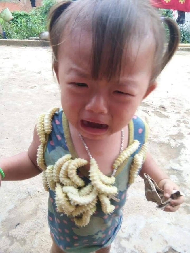 Bé gái khóc thét vì bị hàng chục con tằm bấu vào người.