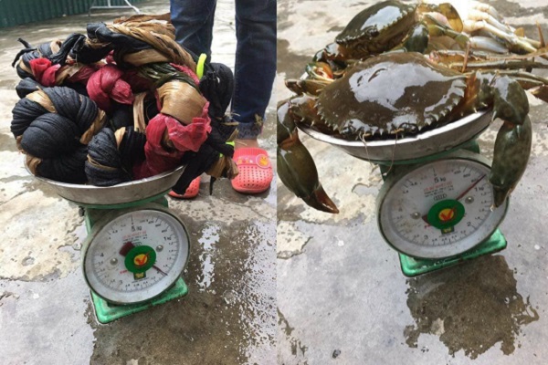 Cua trước và sau khi tháo dây.
