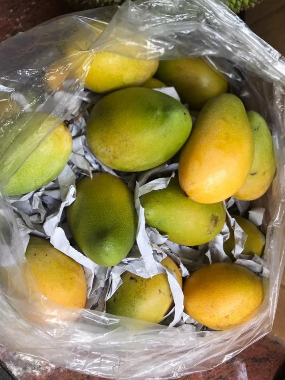 Về quê ăn nhiều món ngon nhưng bố mẹ Nhã Phương không quên gửi quà khi các con vào Sài Gòn.    