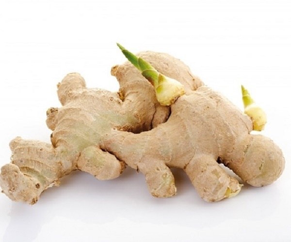 Gừng mọc mầm không nên ăn