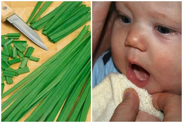 Phương pháp dùng lá hẹ ép lấy nước bôi vào nướu của con khi trẻ 3 tháng 10 ngày giúp bé không bị sốt khi mọc răng là theo quan niệm dân gian