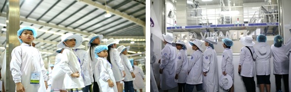 Các vị khách sữa học đường 
