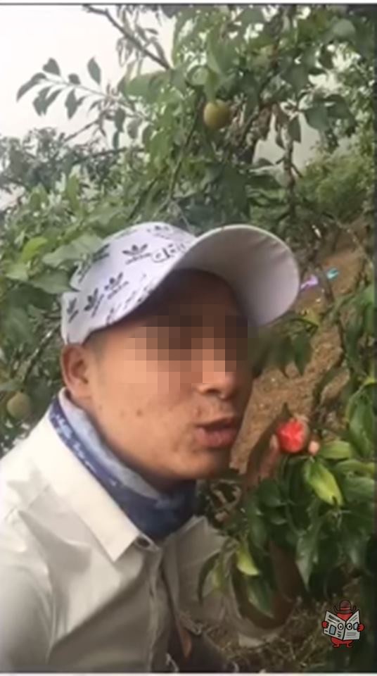 Hình ảnh khiến nhiều người phẫn nộ.