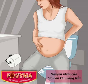 Fogyma2